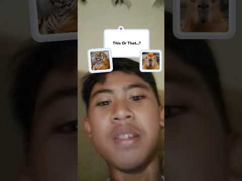rangking hewan peliharaan cek