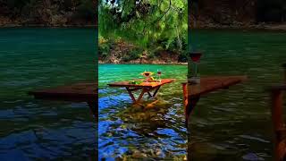 Spring is nature's way of saying, 'Let's party!'" #nature #shortvideo #naturegetaway