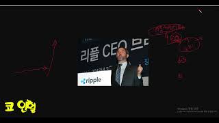 리플!리플!리플!리플!리플코인 급등 이후 과연 폭락? 또 다시 급등?