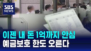 예금보호 한도, 9월부터 '1억 원'까지 상향 / SBS