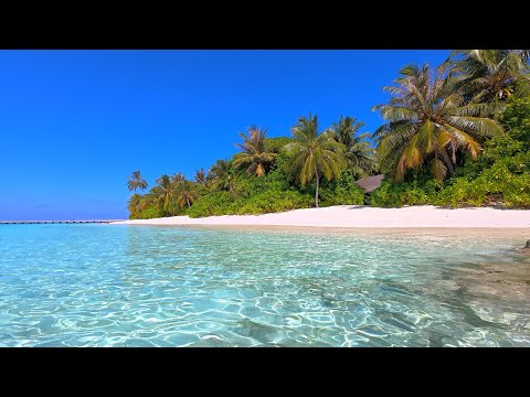🏝 Beach Screensaver From a Tropical Remote Island Paradise