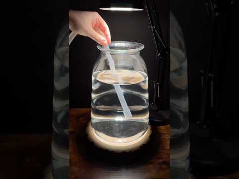 Leak testing my new nano aquarium