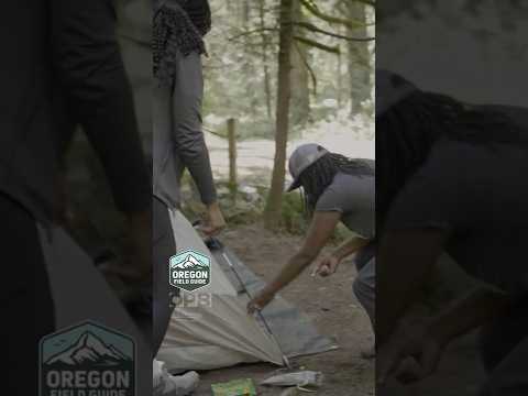 Never camped before?🏕️ First-time campers learn what it takes #oregonfieldguide