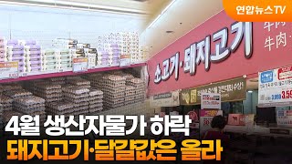 4월 생산자물가 하락…돼지고기·달걀값은 올라 / 연합뉴스TV (YonhapnewsTV)