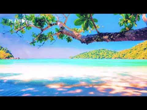 sea of tranquility - summer lofi x chill piano lofi hiphop | relaxing beats (study, work, vibe)