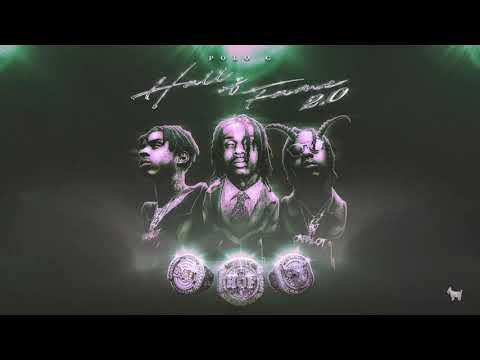 Polo G - Young N Dumb (Official Audio)