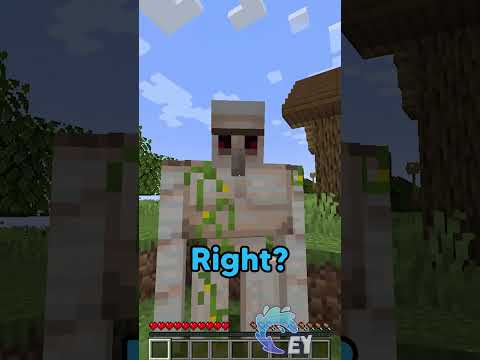 Find 3 Things Wrong in Minecraft…