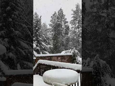 Snowfall , it’s dumping!