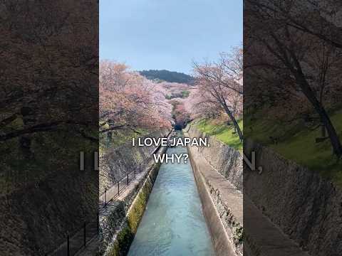 I love Japan, why?