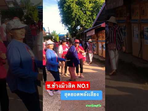 ลายพิน ลายแห่ #รถแห่ชช้างมิวสิค no.1 ช้าง3เฟส เสียงสด💯 #แสดงสดมันส์ๆ