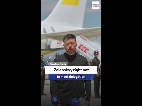 Retired Turkish ambassador: Zelenskyy right not to meet delegation