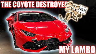 Coyote DESTROYS Lamborghini Huracan – $40,000 In Damage.. Front End Collision!