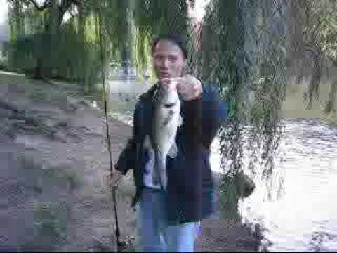 Fishing in Central Park (3)