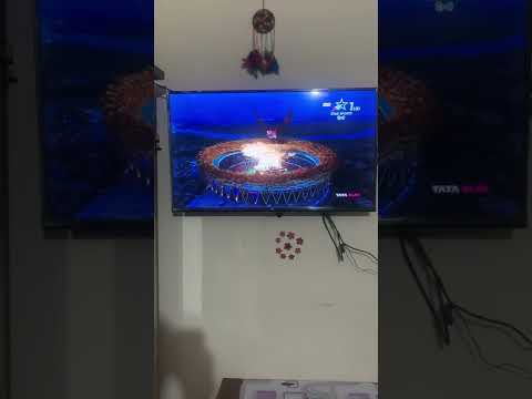 Live IPL 2022 #cricket #live #winner #cheel#bird#viral #cricket #gtvsrr2022 #starsports #news