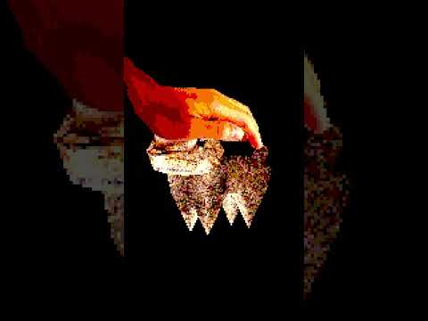 pet the cat