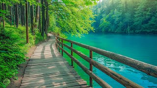 Beautiful Relaxing Music - Stop Overthinking, Stress Relief Music, Sleep Music, Calming Music #110