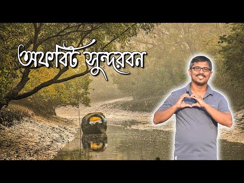 Sundarban offbeat tour | Sundarban Mangrove | সুন্দরবন | Boat ride | sundarban tiger | core area