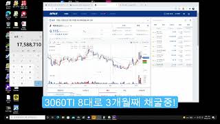 레이븐 코인 반감기?! 900만원 에서 1700만원이 된다고?! 가격 변동과 채굴량 상황!