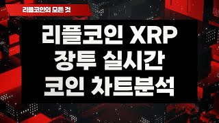 리플코인 XRP 장투 실시간 코인 차트분석 / 가격 전망 리플코인 비트코인 이더리움 에이다 도지코인