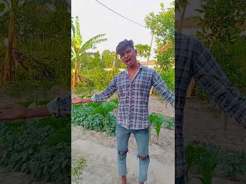 video dekhne ke liye follow kare #comedy #funny #surajrox #trending #funnycomedy #roshanrok1.1
