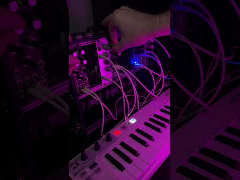 Modular Thursday 🤖⚡️#eurorack #modularsynth #beep #dawless #plaits #ripples #sylphmodular