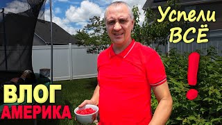 И распаковка, и закупка, и экскурсия) Повесили находки из распаковок/ В шоке от нашего огорода