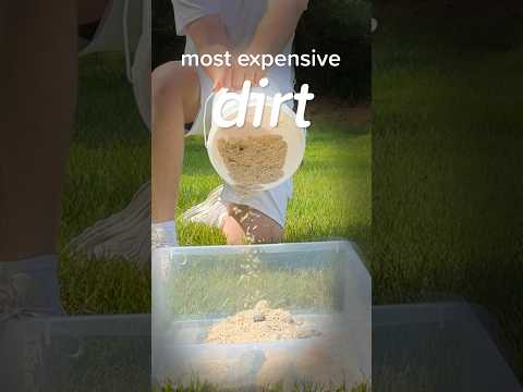 Is This $90 Bucket of Dirt a Scam?