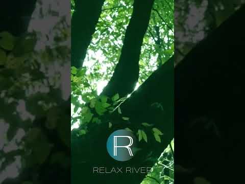 🙏 PEACEFUL 🙏 Soothing Music, Beautiful Relaxation | Hermosa Música Relajante, Pacífica Calmante
