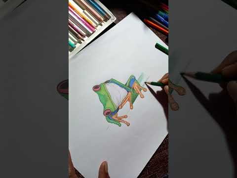 Frog Drawing 🎨😊 | #drawing #art #youtubeshorts #shorts #slava funk