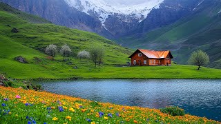 Healing Piano Music for Mindfulness and Relaxation 🎵🌿 Perfect for Restful Sleep and Stress Relief