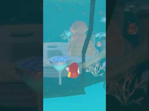 How To Get Out of Bounds Using a Cheep Cheep in the Seaside Kingdom:Super Mario Odyssey #smo #glitch