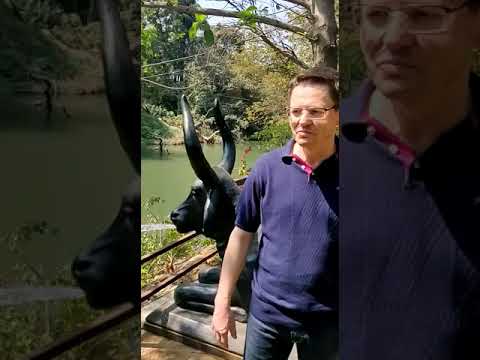 A Visitor is sharing his experience | Jalsrushti Resort