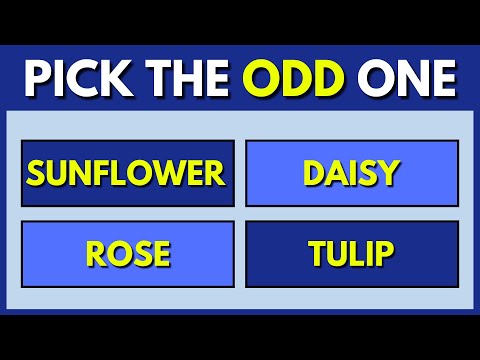 ONLY A GENIUS CAN SPOT THE ODD ONE OUT | 96% CANNOT SCORE 30/30!