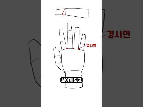 인체 드로잉 - 손 그리기 꿀팁. [How to draw - Understanding the structure of the hand]