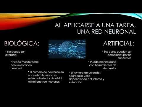 Diego Lander Aarón Argotte Actividad II Redes Neuronales