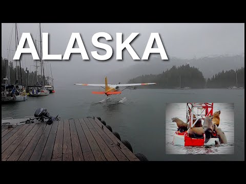 ￼ Alaska Wildlife - And a special guest arrives ￼￼￼S2 Ep 10