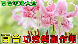 【養生】百合的功效與副作用，百合吃法有哪些？百合泡水功效有哪些？