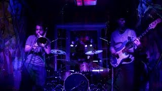 Elephant Wrecking Ball: Nose Whacks / Camping's Intents [2-Cam/HD] 2014-01-22 - New Haven, CT