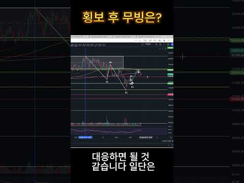 24. 2. 20 비트코인 단기 관점 #shorts #short #shortvideo #코인 #비트코인 #주식 #차트분석
