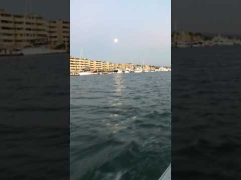New port Harbor Duffy boat cruise