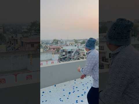 KITE CUTTING WITH MASSIVE SPEED 🚀| KITE CUTTING | #kitefighting #kitelover #kite