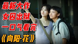 【完整版】一口气看完2025最新大作《向阳·花》，在深渊边缘绽放野蛮生命力 #影视解说 #電影
