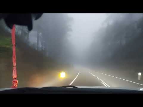 MIDDLE OF SUMMER FELT LIKE THE MIDDLE  OF WINTER IN THE HIGH COUNTRY #adventure #horse #4x4 #offroad