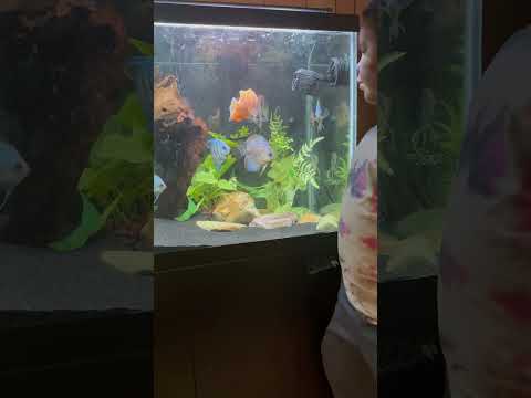 My 8 yr old son wanted to talk about the discus but got nervous…
