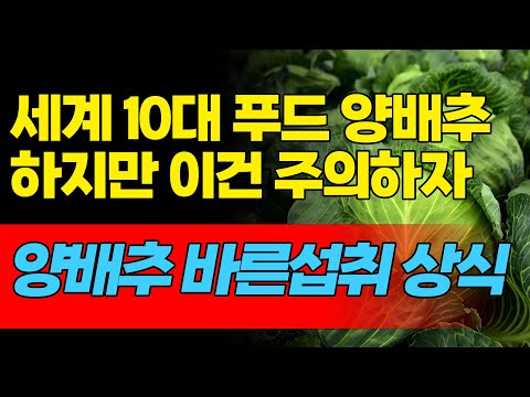 양배추 올바른 섭취방법. 모르고 먹으면 독?