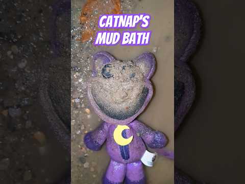 I Don't Want A Lot For Christmas: Part 1 #catnap  #diarrhoea #shorts  #viralvideo #creamy