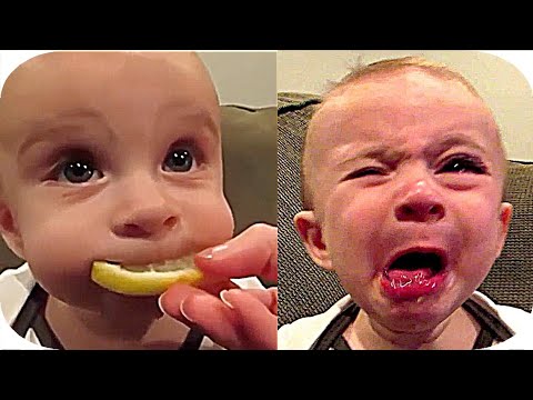 Best Videos of Cute Babies Eating Lemons for the first tome - Try Not to laugh