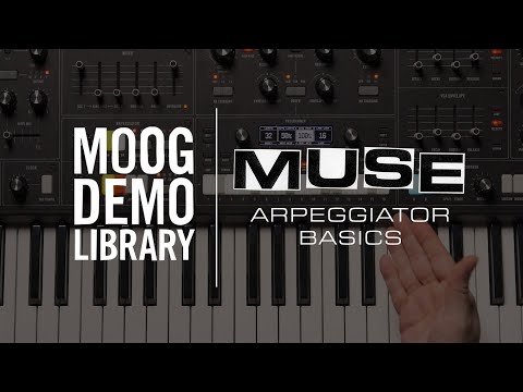 Muse | Arpeggiator Performance Basics