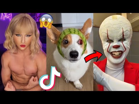 funny tik toks that make my sunday better 😂