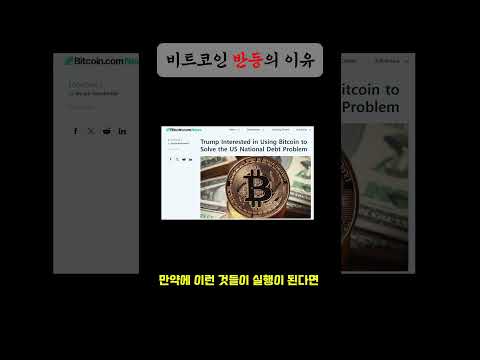 트럼프가 당선이 된다면 비트코인 시세는 떡상 할겁니다